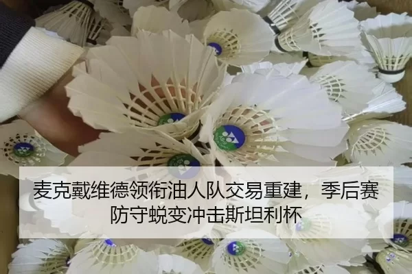 mai-ke-dai-wei-de-ling-xian-you-ren-dui-jiao-yi-chong-jian-ji-hou-sai-fang-shou-tui-bian-chong-ji-si-tan-li-bei-2-536.jpg