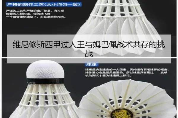 wei-ni-xiu-si-xi-jia-guo-ren-wang-yu-mu-ba-pei-zhan-shu-gong-cun-de-tiao-zhan-3-853.jpg
