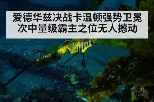 爱德华兹决战卡温顿强势卫冕 次中量级霸主之位无人撼动